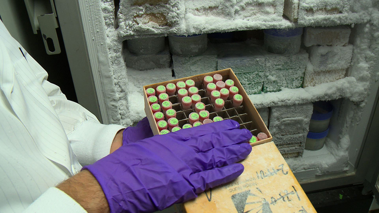 Vanderbilt University