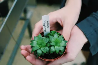 Visiting the greenhouse on top of Stevenson, from Social 'Dore @emhugan
