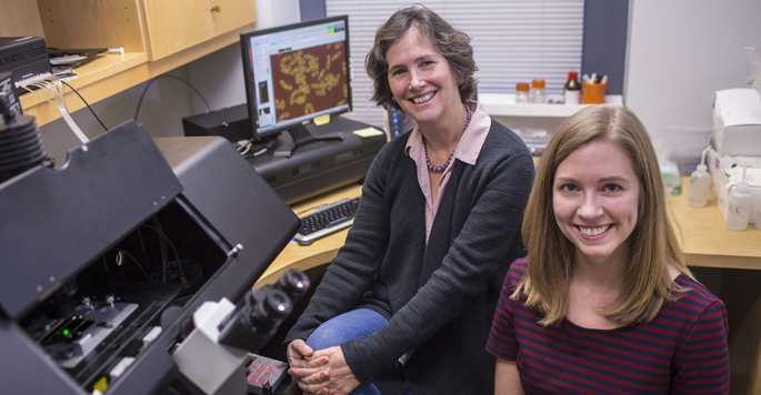 Vanderbilt University