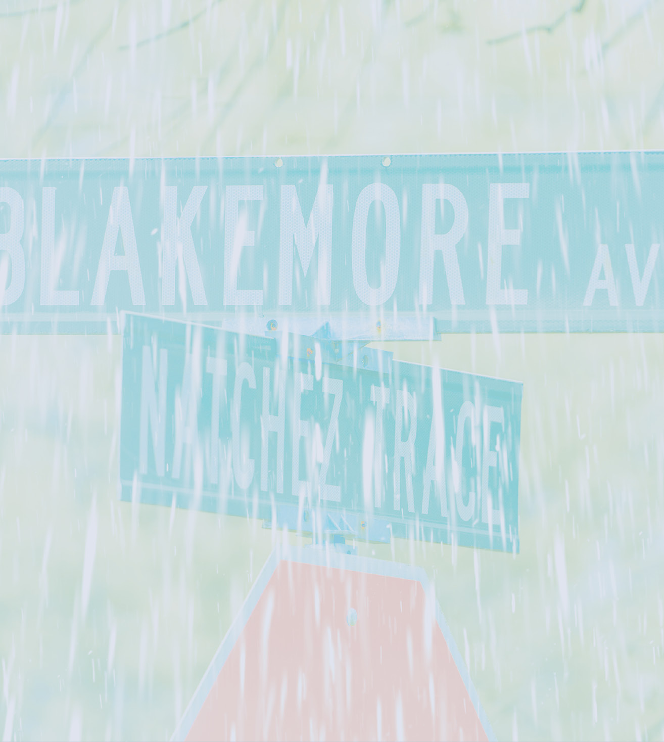 Vanderbilt University