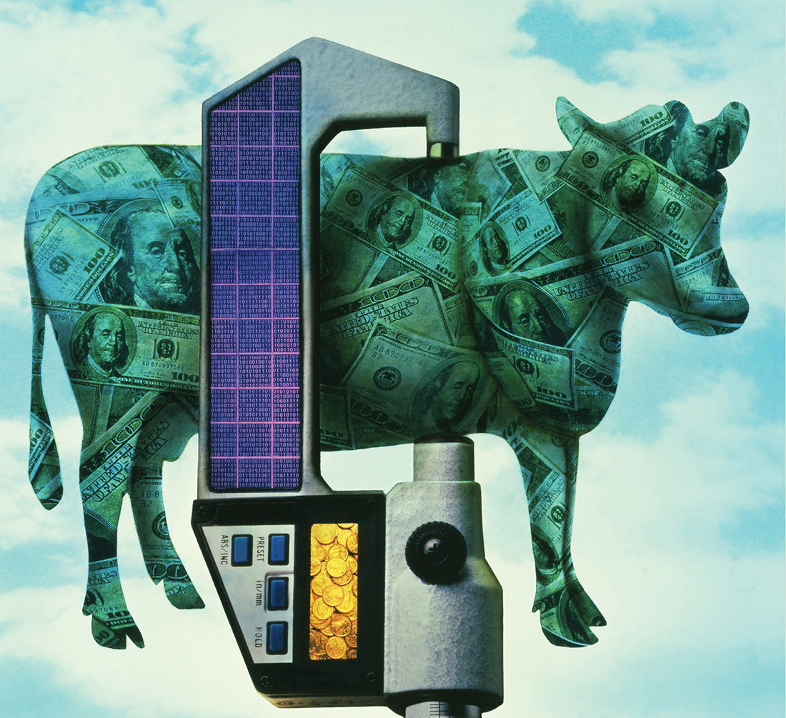 Vanderbilt University