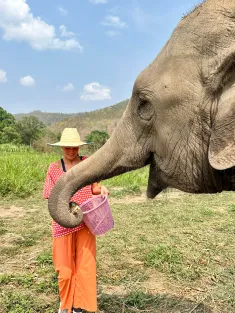 Maddie Guyton in Thailand "My friend and I visited an elephant sanctuary at Doi Inthanon National Park in Chiang Mai during our trip to Thailand. We made banana treats for the elephants and hand-fed them, as shown in this photo. Afterward, we gave the elephants mud baths!"