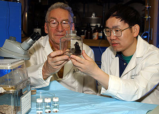 Sid and a student looking at a beaker