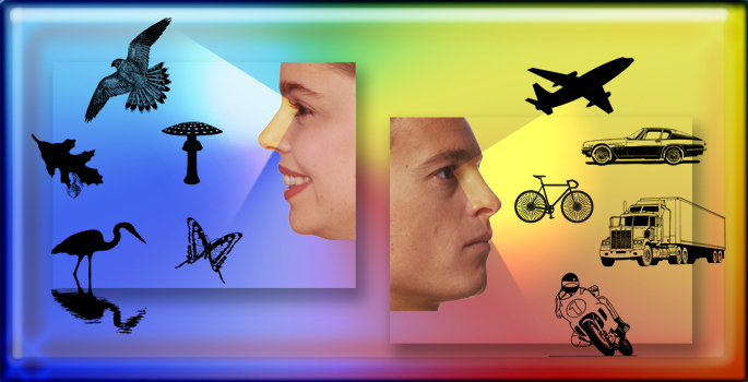 Perception Experiment Conceptual Image