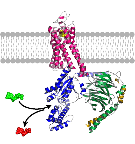 Vanderbilt University