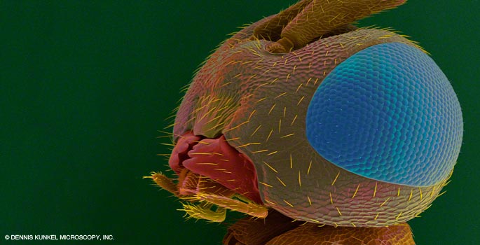 Vanderbilt University