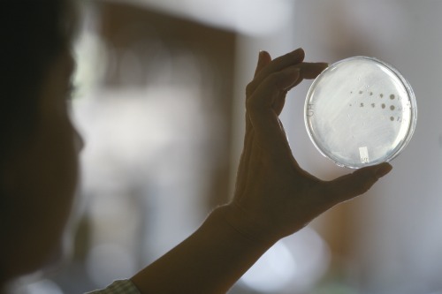 Vanderbilt University