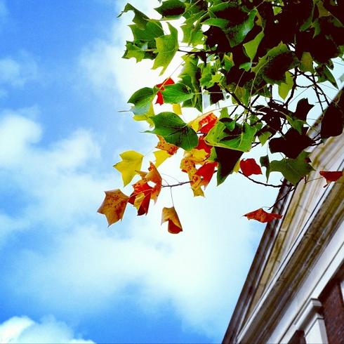 Vanderbilt University