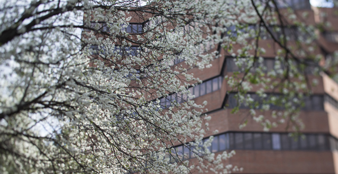 Vanderbilt University