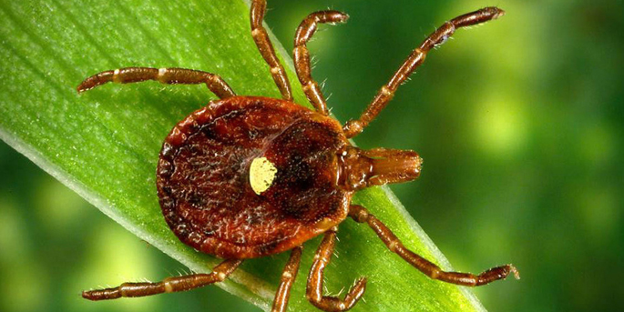 Vanderbilt University