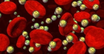 Vanderbilt University