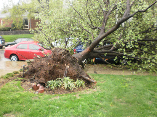 Vanderbilt University
