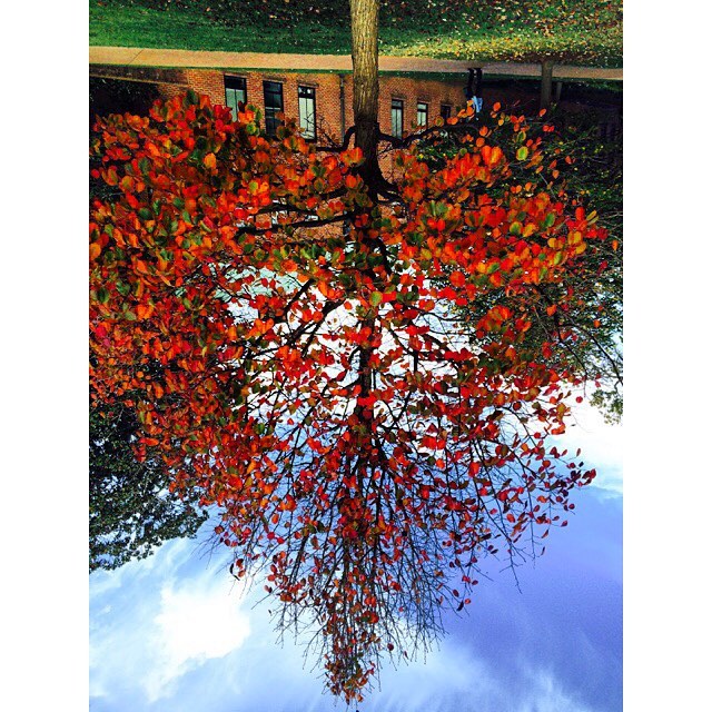 Vanderbilt University