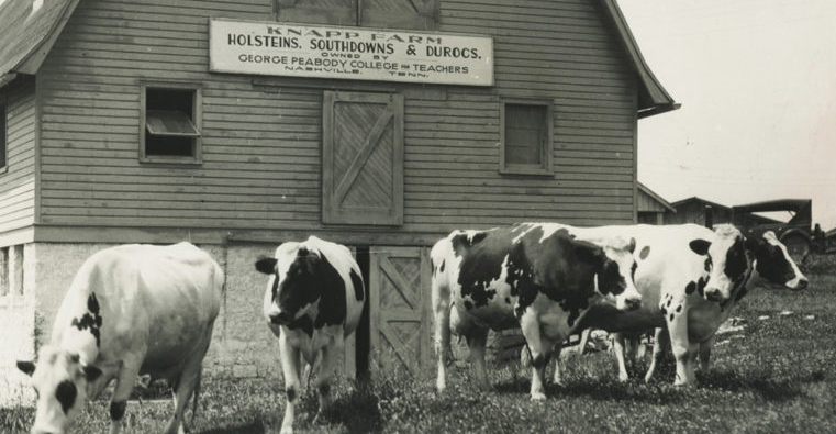 Vanderbilt University