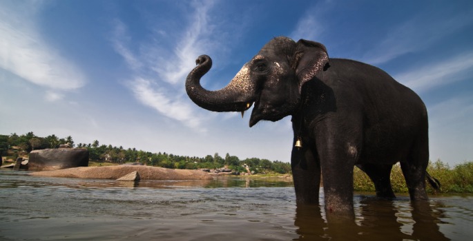 Vanderbilt University