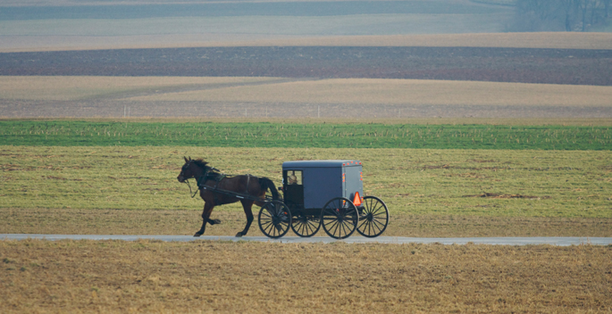 Vanderbilt University