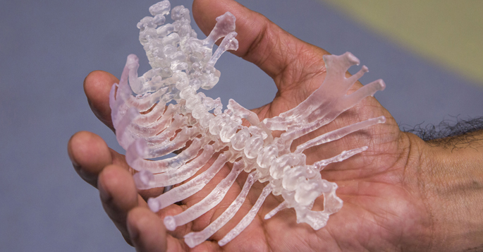 Vanderbilt University