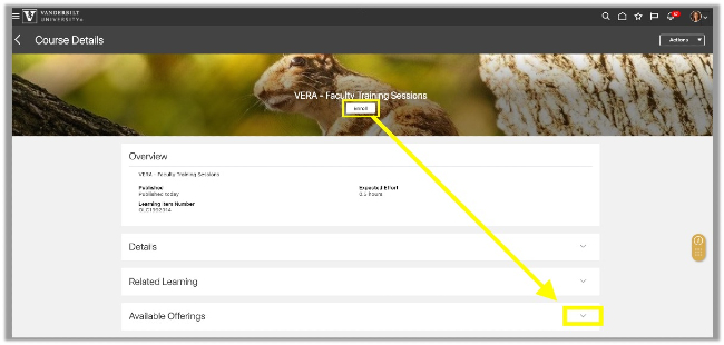 VERA faculty training log-in