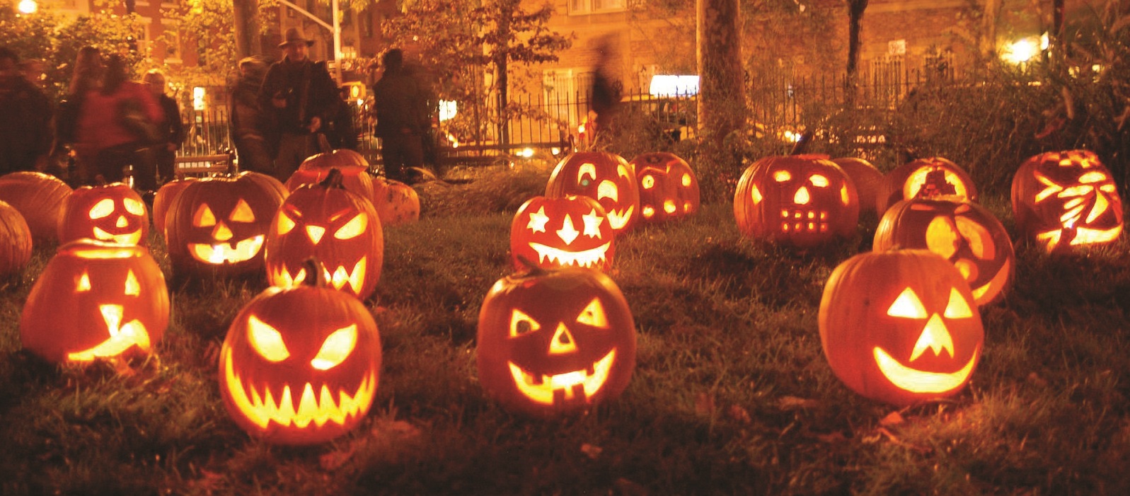 Vanderbilt University