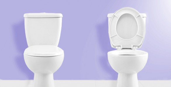 two toilets, one with lid up, one with lid down