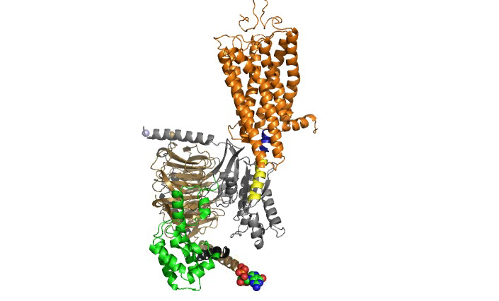 Vanderbilt University