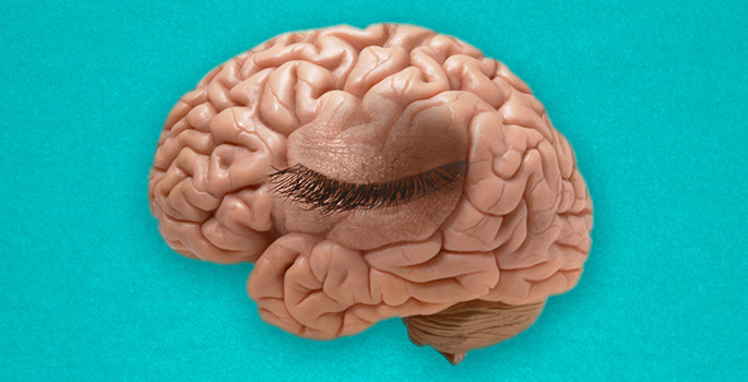 Vanderbilt University