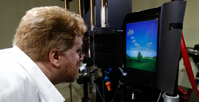 Maier looking at computer with image on screen