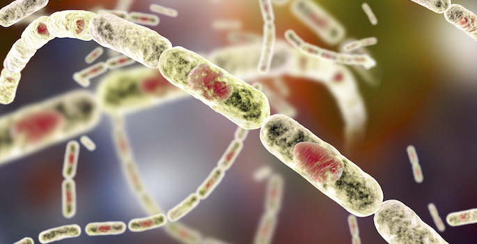illustration of anthrax spores