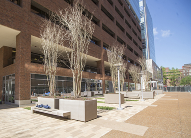 Vanderbilt University