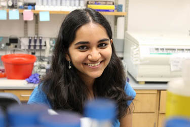 Vanderbilt University