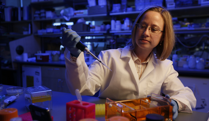 Vanderbilt University