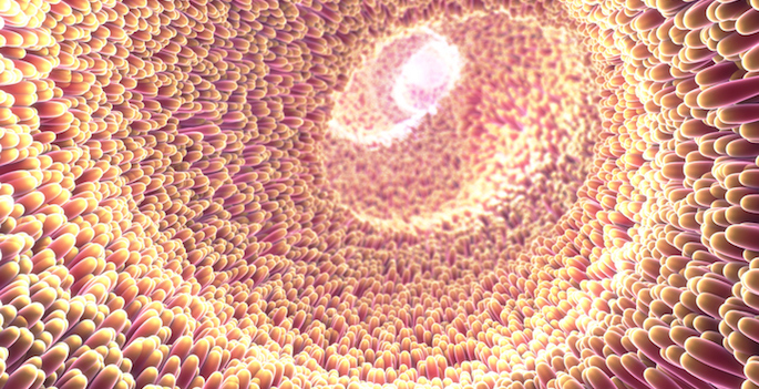 3d illustration of microscopic closeup of intestine villus
