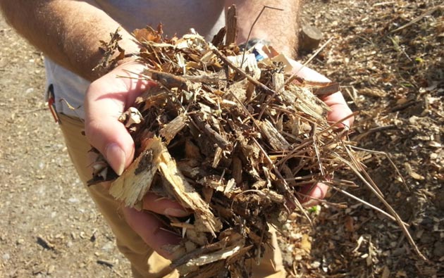 Vanderbilt University