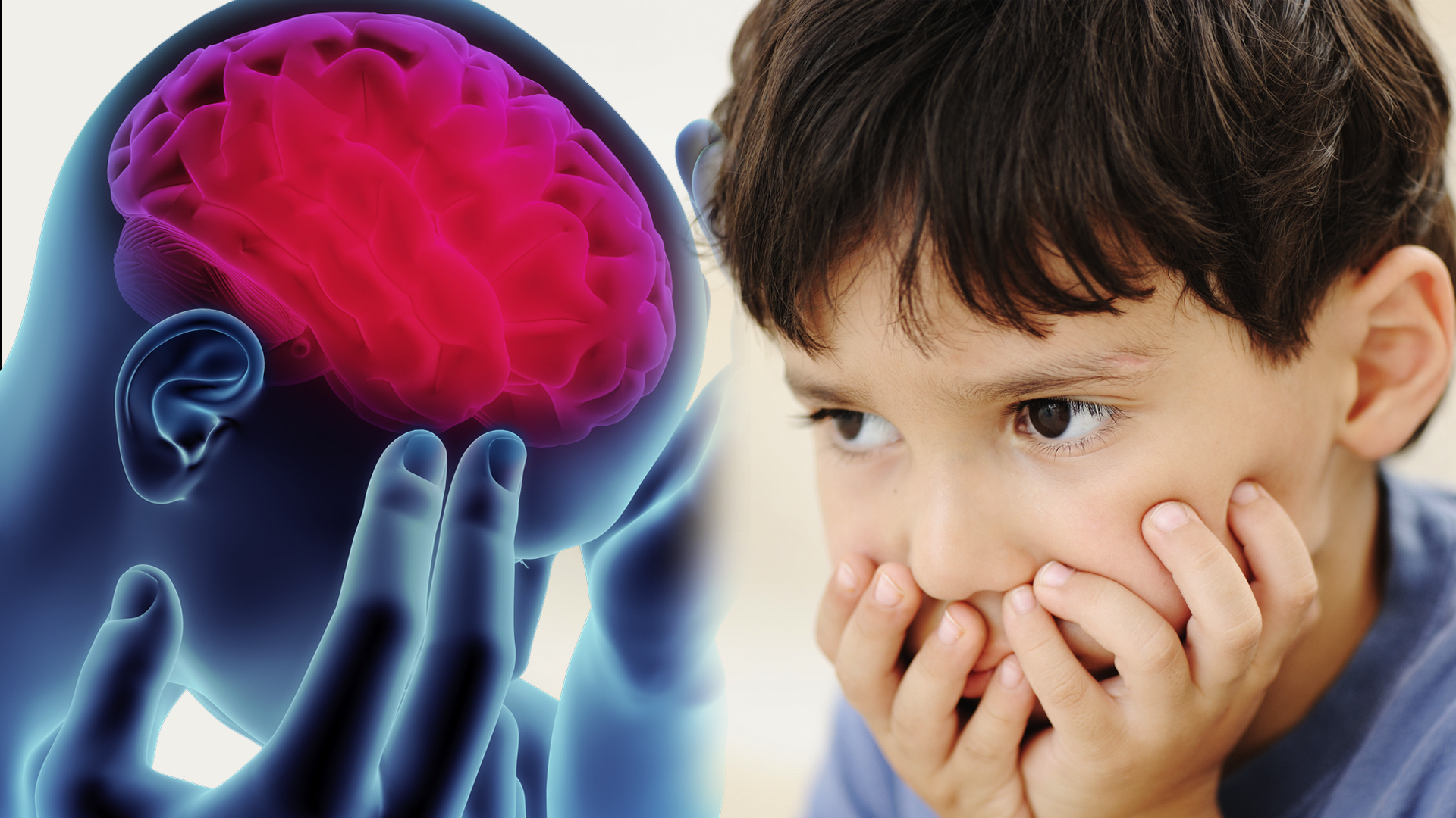 Vanderbilt University