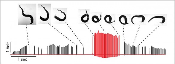 graph of electrical charge