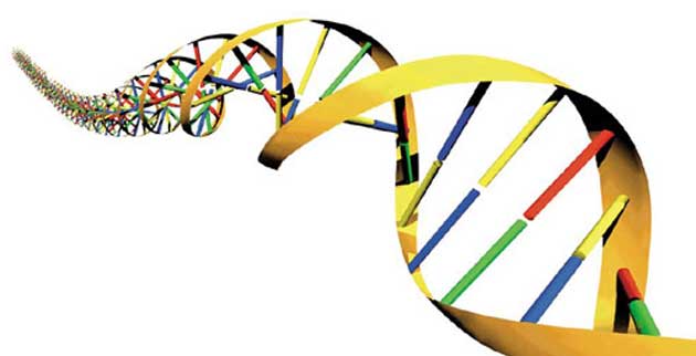 Vanderbilt University