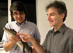 326_20121102173439-LeitchCatania Leitch and Catania