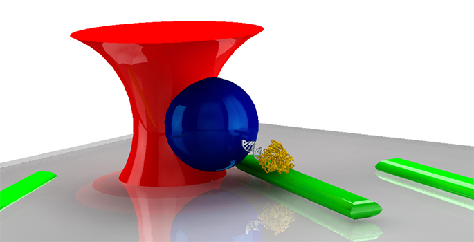 Vanderbilt University