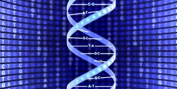 dna_iStock_f DNA