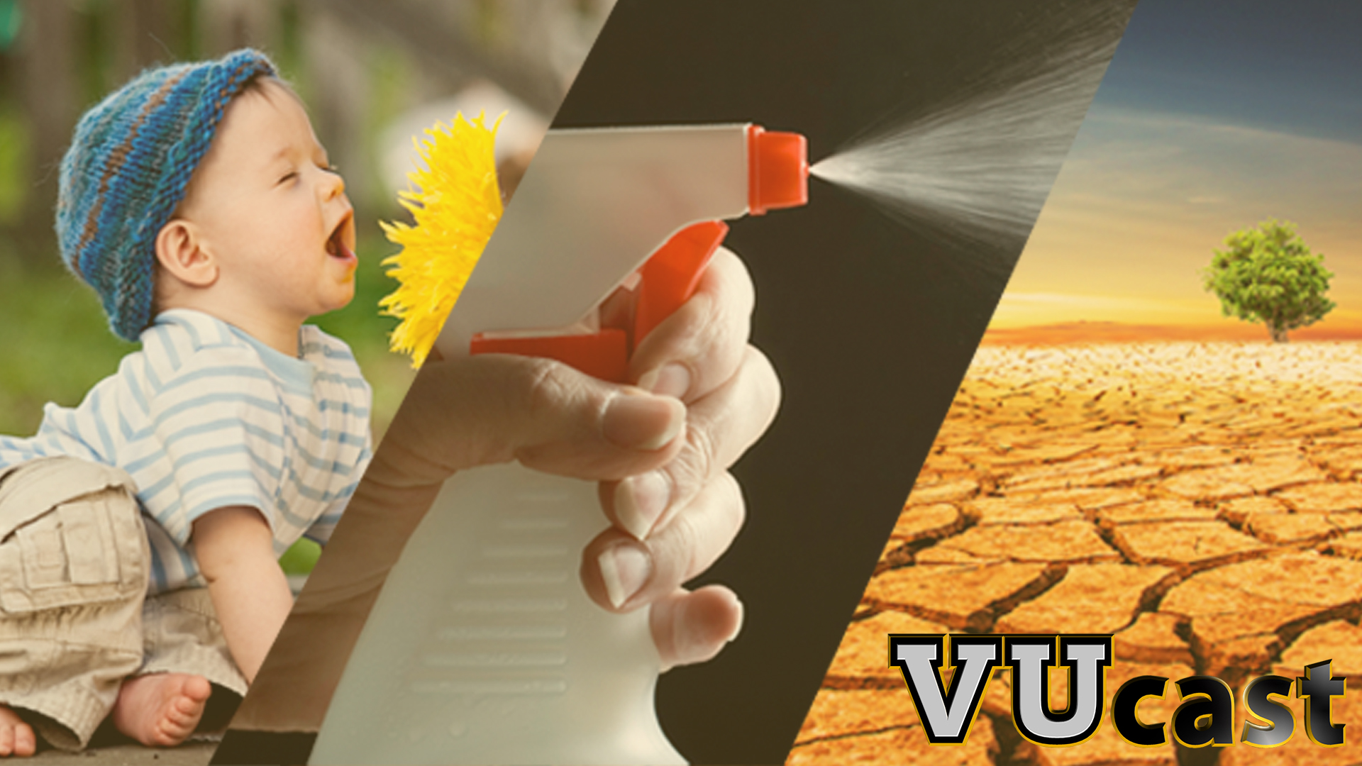 Vanderbilt University