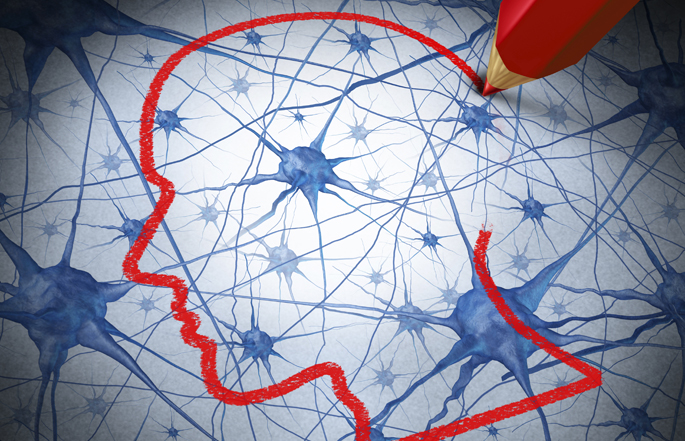 Vanderbilt University