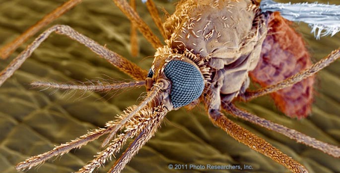 Vanderbilt University