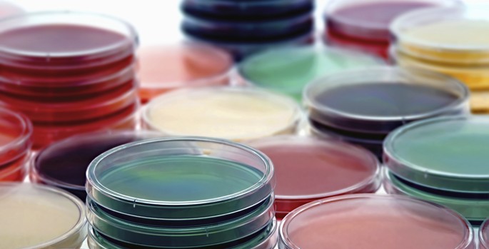 Vanderbilt University