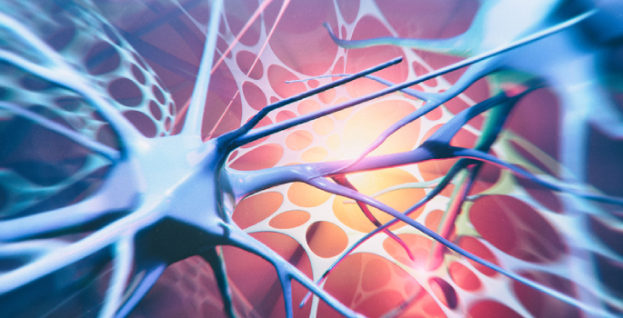 amyotrophic lateral sclerosis ALS