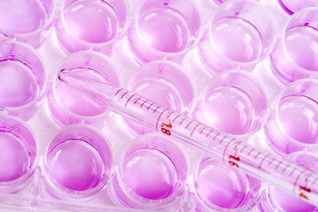 Vanderbilt University