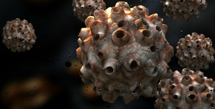 Vanderbilt University