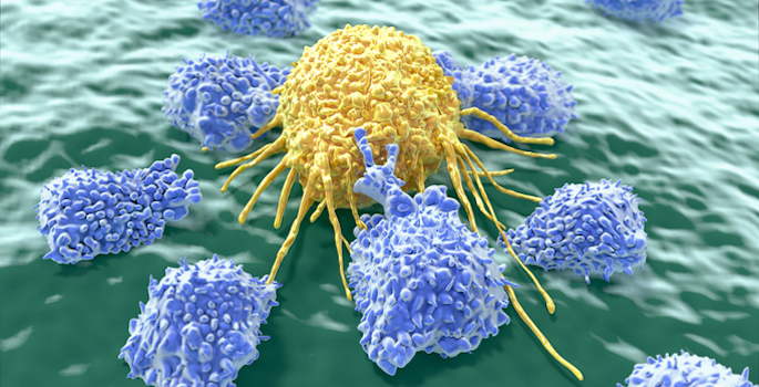 Lymphocytes attacking cancer cell