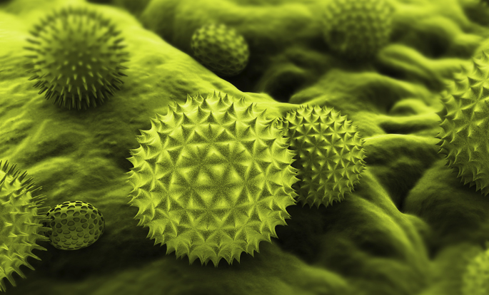 Vanderbilt University