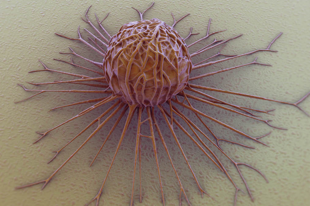 Vanderbilt University