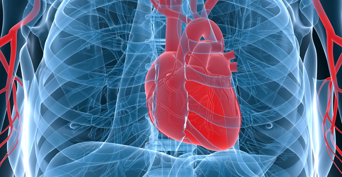 Vanderbilt University